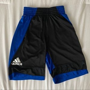 Adidas Dry Fit Shorts